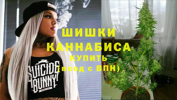 дживик Верея